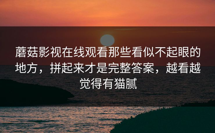 蘑菇影视在线观看那些看似不起眼的地方，拼起来才是完整答案，越看越觉得有猫腻