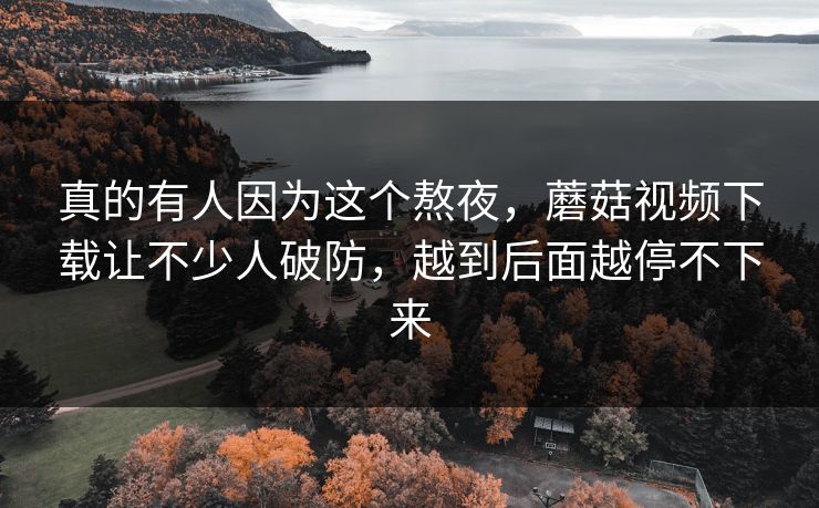 真的有人因为这个熬夜，蘑菇视频下载让不少人破防，越到后面越停不下来