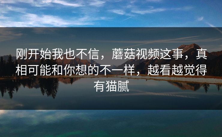 刚开始我也不信，蘑菇视频这事，真相可能和你想的不一样，越看越觉得有猫腻