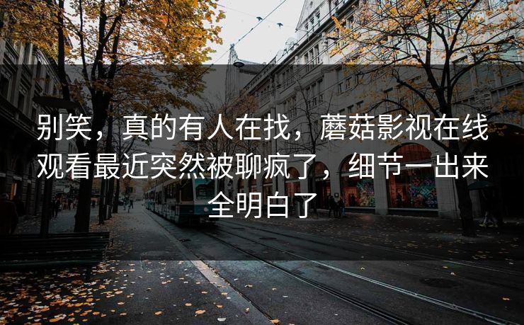 别笑，真的有人在找，蘑菇影视在线观看最近突然被聊疯了，细节一出来全明白了