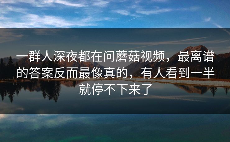 一群人深夜都在问蘑菇视频，最离谱的答案反而最像真的，有人看到一半就停不下来了