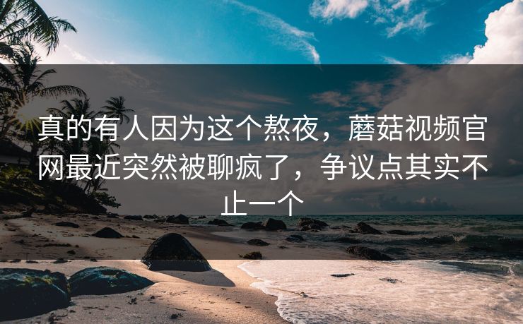 真的有人因为这个熬夜，蘑菇视频官网最近突然被聊疯了，争议点其实不止一个