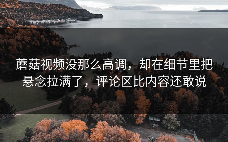 蘑菇视频没那么高调，却在细节里把悬念拉满了，评论区比内容还敢说