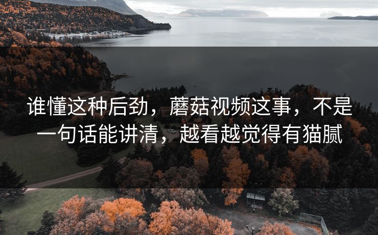 谁懂这种后劲，蘑菇视频这事，不是一句话能讲清，越看越觉得有猫腻