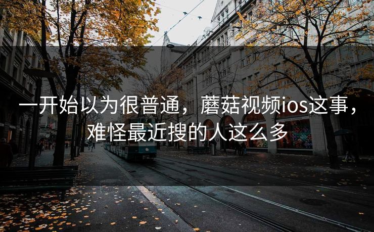 一开始以为很普通，蘑菇视频ios这事，难怪最近搜的人这么多