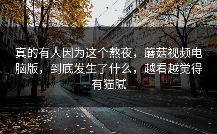 真的有人因为这个熬夜，蘑菇视频电脑版，到底发生了什么，越看越觉得有猫腻