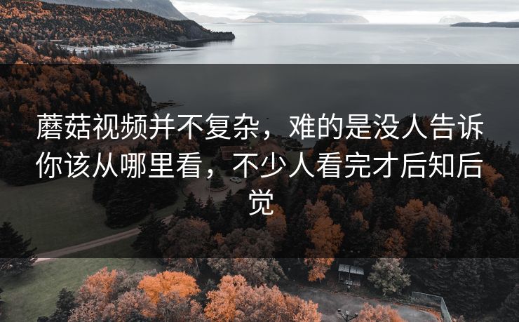 蘑菇视频并不复杂，难的是没人告诉你该从哪里看，不少人看完才后知后觉