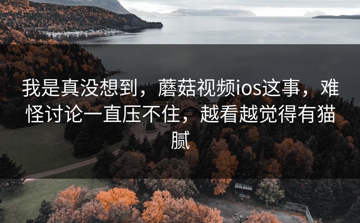 我是真没想到，蘑菇视频ios这事，难怪讨论一直压不住，越看越觉得有猫腻