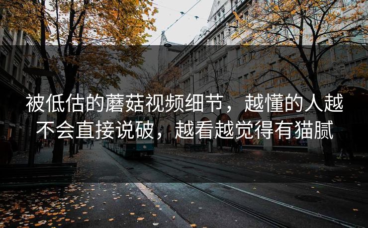 被低估的蘑菇视频细节，越懂的人越不会直接说破，越看越觉得有猫腻
