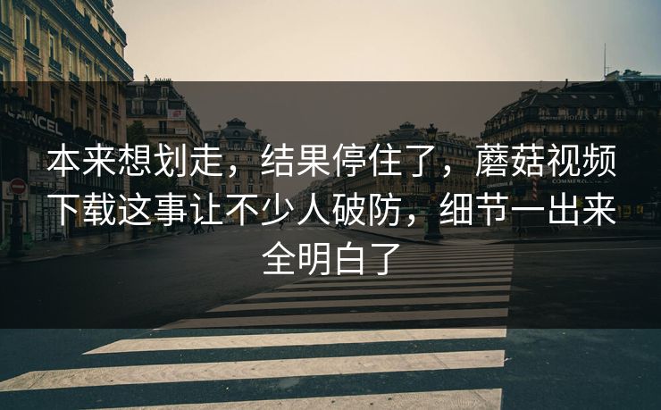 本来想划走，结果停住了，蘑菇视频下载这事让不少人破防，细节一出来全明白了
