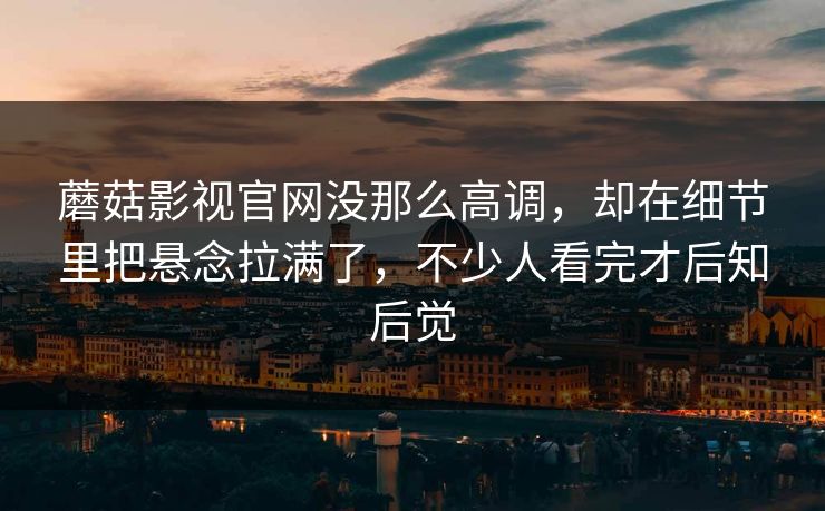 蘑菇影视官网没那么高调，却在细节里把悬念拉满了，不少人看完才后知后觉