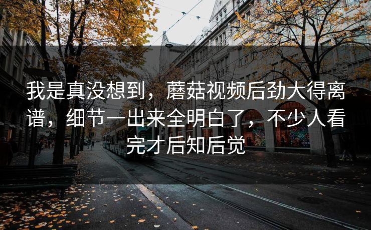 我是真没想到，蘑菇视频后劲大得离谱，细节一出来全明白了，不少人看完才后知后觉