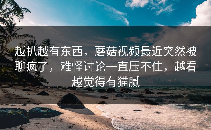 越扒越有东西，蘑菇视频最近突然被聊疯了，难怪讨论一直压不住，越看越觉得有猫腻