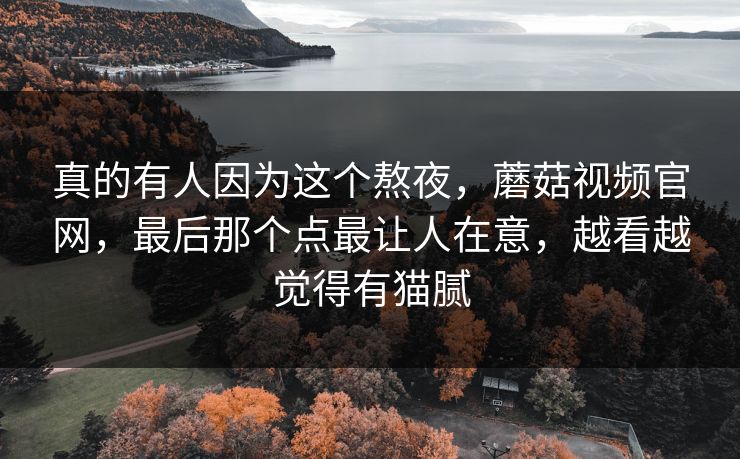 真的有人因为这个熬夜，蘑菇视频官网，最后那个点最让人在意，越看越觉得有猫腻