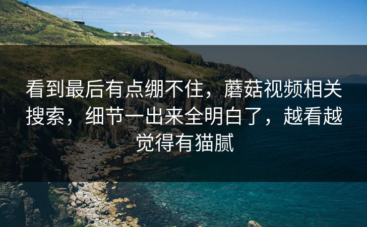 看到最后有点绷不住，蘑菇视频相关搜索，细节一出来全明白了，越看越觉得有猫腻