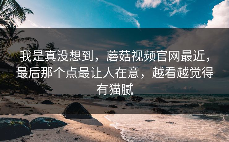 我是真没想到，蘑菇视频官网最近，最后那个点最让人在意，越看越觉得有猫腻
