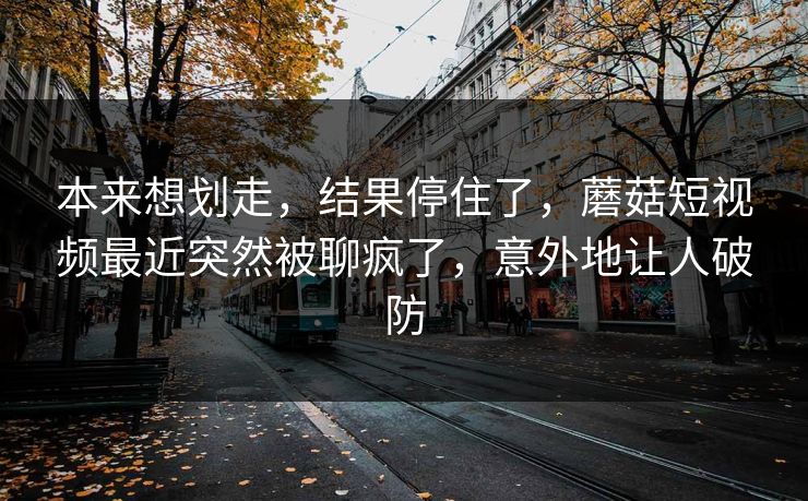 本来想划走，结果停住了，蘑菇短视频最近突然被聊疯了，意外地让人破防
